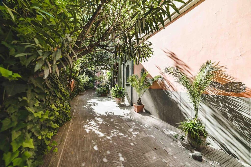 Domus Trastevere 900 روما المظهر الخارجي الصورة